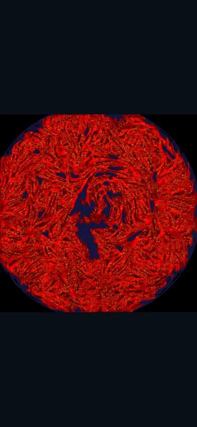 Muscle-fiber microscopy with every fiber outlined and measured automatically